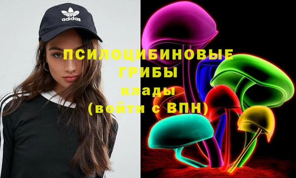 тгк Аркадак