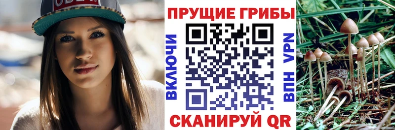 Псилоцибиновые грибы мицелий  Усинск 